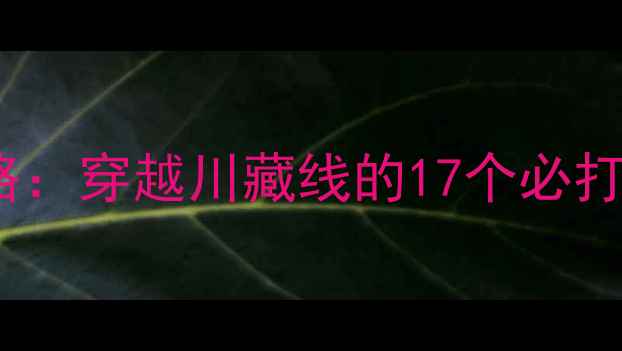 图片 318国道自驾全攻略：穿越川藏线的17个必打卡秘境与生存指南