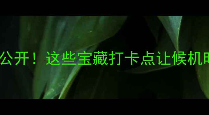 图片 ✈️机场隐藏玩法大公开！这些宝藏打卡点让候机时间变成度假时间～2