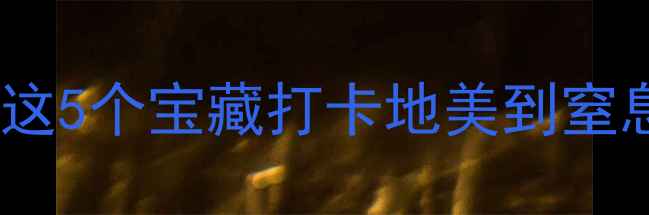 图片 ✨上海周边游新宠｜三林镇这5个宝藏打卡地美到窒息！亲子游拍照党闭眼冲！2