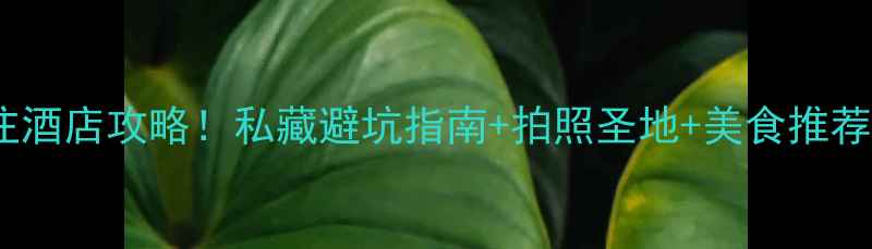 图片 ✨安徽九华山必住酒店攻略！私藏避坑指南+拍照圣地+美食推荐（附隐藏福利）1