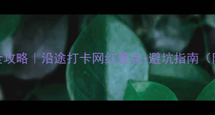 图片 上海到厦门自驾5天4晚全攻略｜沿途打卡网红景点+避坑指南（附详细路线+住宿推荐）2