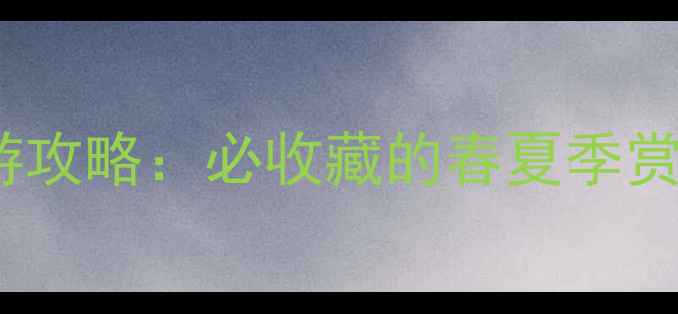 图片 伊宁市周边5大秘境游攻略：必收藏的春夏季赏花+草原露营全指南2