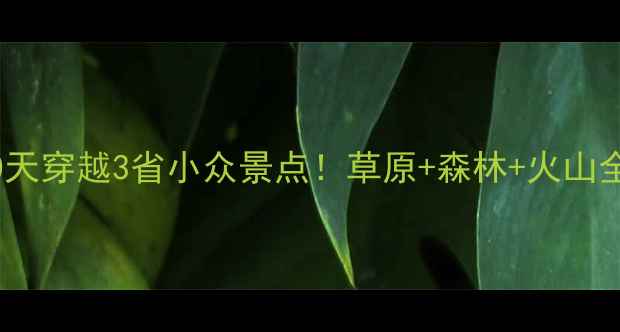 图片 北京到海拉尔自驾游10天穿越3省小众景点！草原+森林+火山全攻略（附实时路况）2