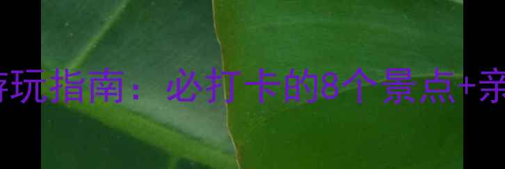 图片 北京嘉和城深度游玩指南：必打卡的8个景点+亲子攻略+美食地图