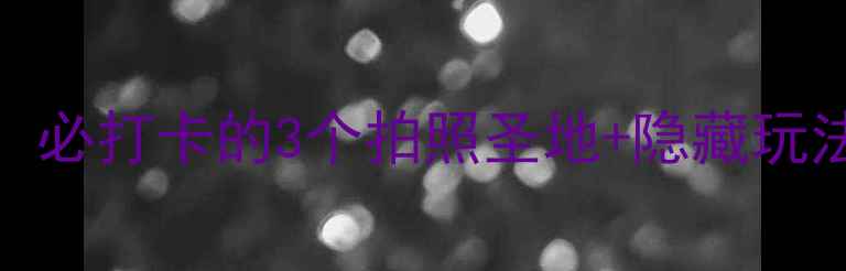 图片 厦门白鹭洲游玩全攻略：必打卡的3个拍照圣地+隐藏玩法（附交通+美食地图）1