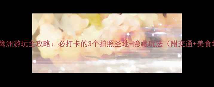 图片 厦门白鹭洲游玩全攻略：必打卡的3个拍照圣地+隐藏玩法（附交通+美食地图）2