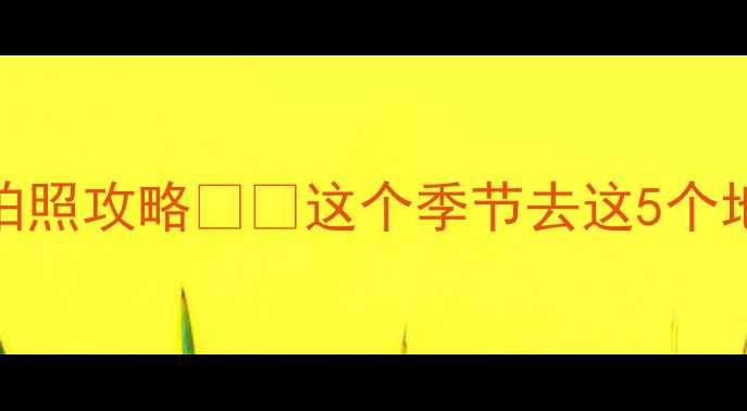 图片 夏季避暑+小众景点+拍照攻略🌿📸这个季节去这5个地方秒变朋友圈C位！2