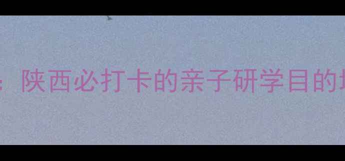 图片 大荔沙漠生态公园攻略：陕西必打卡的亲子研学目的地，自驾游露营全指南2