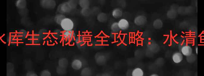 图片 天津周边亲子游必打卡！于桥水库生态秘境全攻略：水清鱼跃+湿地观鸟+星空露营全指南