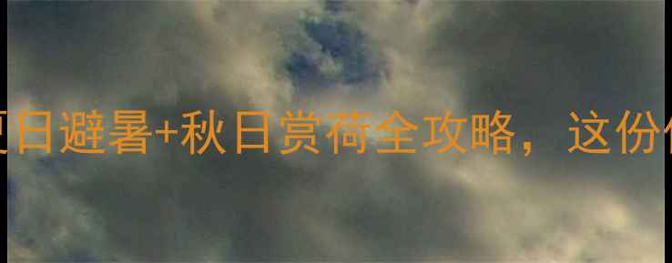 图片 天津静海团泊湖必去！夏日避暑+秋日赏荷全攻略，这份保姆级打卡指南太全了！