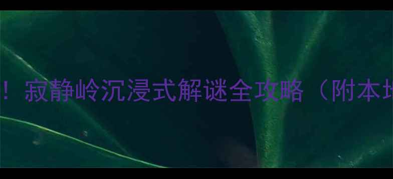 图片 密室逃脱天花板！寂静岭沉浸式解谜全攻略（附本地人私藏路线）1