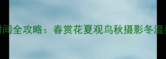 图片 小东江最佳旅游时间全攻略：春赏花夏观鸟秋摄影冬温泉，必去避坑指南