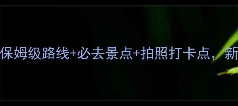 图片 崂山自驾游全攻略：保姆级路线+必去景点+拍照打卡点，新手司机也能轻松玩转