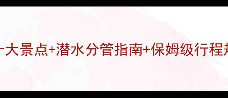 图片 帕劳旅游全攻略：必去十大景点+潜水分管指南+保姆级行程规划（附最新签证政策）
