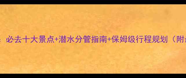 图片 帕劳旅游全攻略：必去十大景点+潜水分管指南+保姆级行程规划（附最新签证政策）2