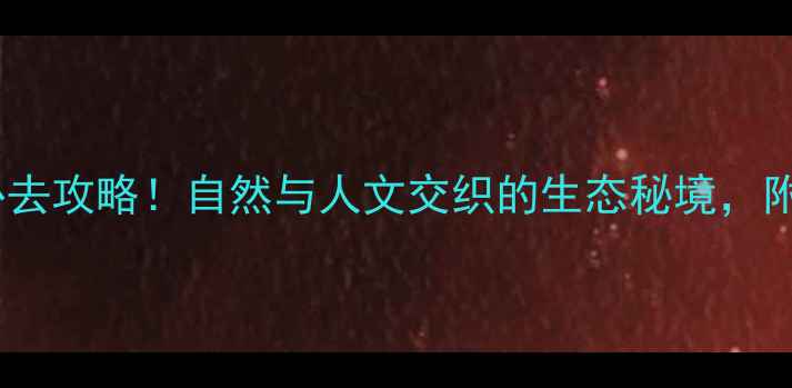 图片 德州减河湿地风景区必去攻略！自然与人文交织的生态秘境，附交通住宿全指南🌿🚗2