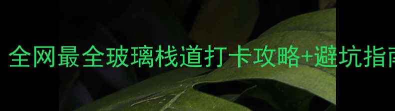图片 必去！全网最全玻璃栈道打卡攻略+避坑指南🌄📸