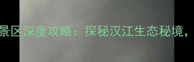 图片 必去！洋县金沙湖风景区深度攻略：探秘汉江生态秘境，解锁水上运动新体验