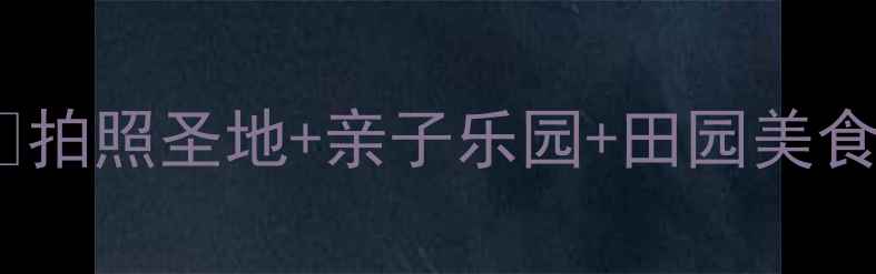 图片 新都漫花庄园必打卡！🌸拍照圣地+亲子乐园+田园美食全攻略（附隐藏机位）2