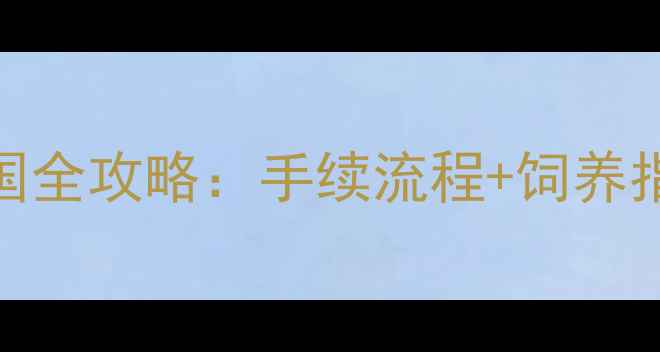 图片 日本旅游带柴犬回国全攻略：手续流程+饲养指南+必买好物推荐1