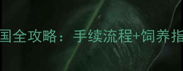 图片 日本旅游带柴犬回国全攻略：手续流程+饲养指南+必买好物推荐2