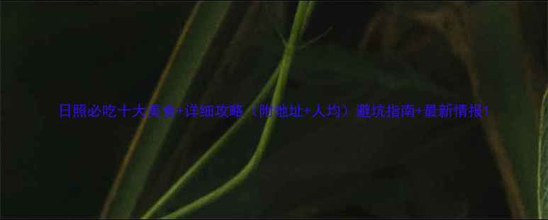 图片 日照必吃十大美食+详细攻略（附地址+人均）避坑指南+最新情报1