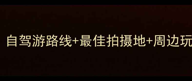 图片 普罗旺斯薰衣草全攻略：自驾游路线+最佳拍摄地+周边玩法，解锁法式浪漫秘境1