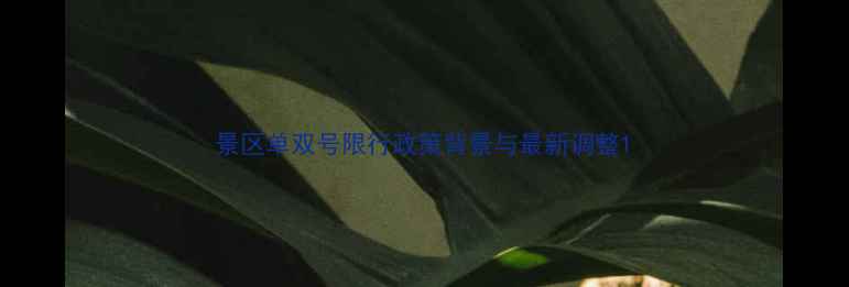 图片 景区单双号限行政策背景与最新调整1