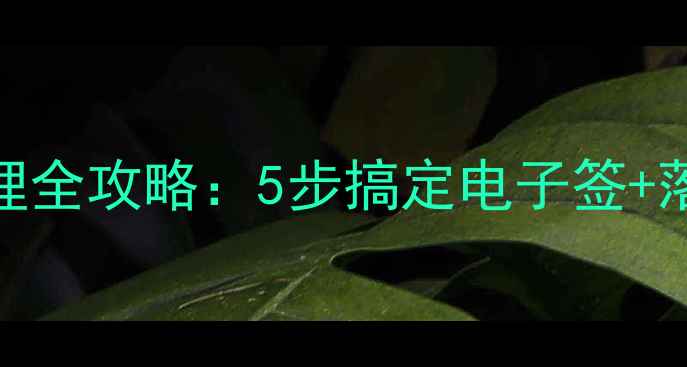 图片 最新泰国旅游签证办理全攻略：5步搞定电子签+落地签+免签政策详解1