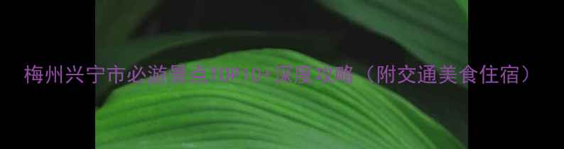 图片 梅州兴宁市必游景点TOP10+深度攻略（附交通美食住宿）