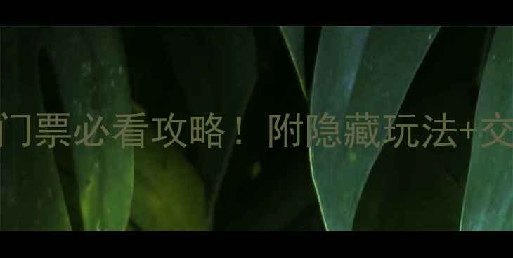 图片 梧州白云山景区门票必看攻略！附隐藏玩法+交通住宿全攻略🌄