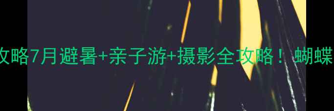 图片 洛阳栾川蝴蝶谷攻略7月避暑+亲子游+摄影全攻略！蝴蝶纷飞美到窒息～2