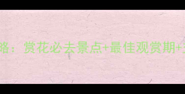图片 洛阳牡丹全攻略：赏花必去景点+最佳观赏期+交通住宿指南1
