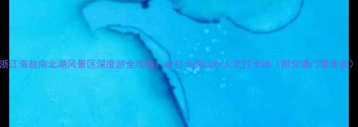 图片 浙江海盐南北湖风景区深度游全攻略：必打卡的山水人文打卡地（附交通门票美食）