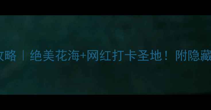 图片 深圳玫瑰海岸攻略｜绝美花海+网红打卡圣地！附隐藏玩法+交通攻略