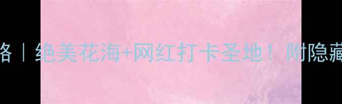 图片 深圳玫瑰海岸攻略｜绝美花海+网红打卡圣地！附隐藏玩法+交通攻略1