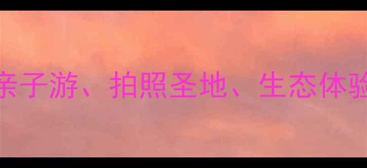 图片 滨江湿地公园必打卡！亲子游、拍照圣地、生态体验全攻略（附隐藏玩法）