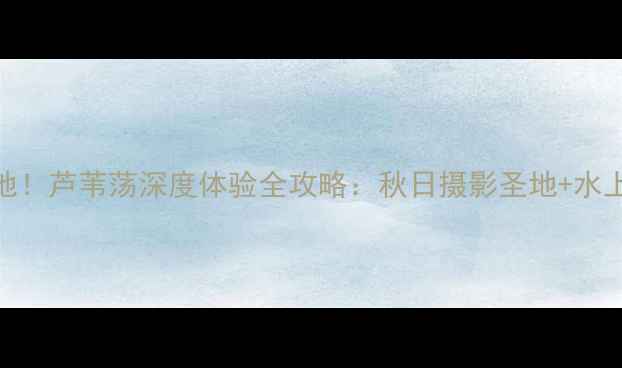 图片 白洋淀必打卡地！芦苇荡深度体验全攻略：秋日摄影圣地+水上项目+美食全2