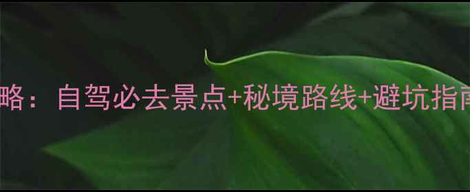 图片 神农架保姆级自由行攻略：自驾必去景点+秘境路线+避坑指南（附最新交通住宿）2