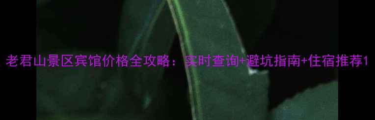 图片 老君山景区宾馆价格全攻略：实时查询+避坑指南+住宿推荐1