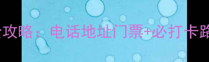 图片 苏州枫桥景区最新全攻略：电话地址门票+必打卡路线（附周边美食）2