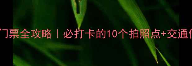 图片 蒋氏故里景区门票全攻略｜必打卡的10个拍照点+交通住宿避坑指南2