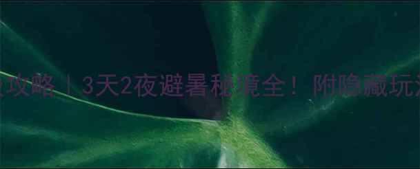 图片 蔡伦竹海保姆级攻略｜3天2夜避暑秘境全！附隐藏玩法+避坑指南🌿2