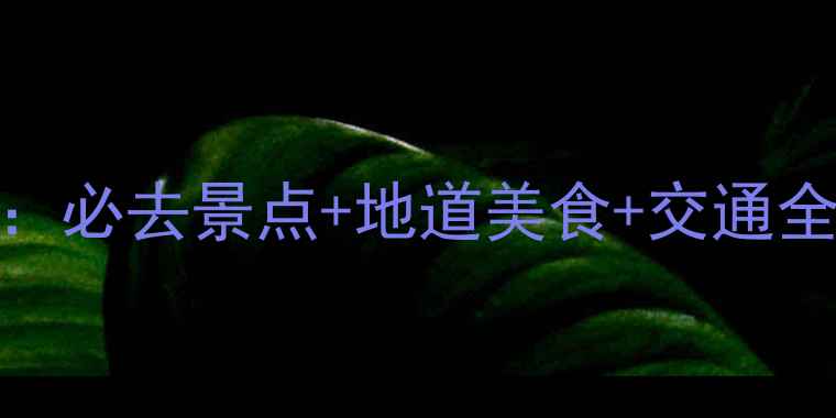 图片 西安48小时深度游攻略：必去景点+地道美食+交通全攻略（附详细行程表）