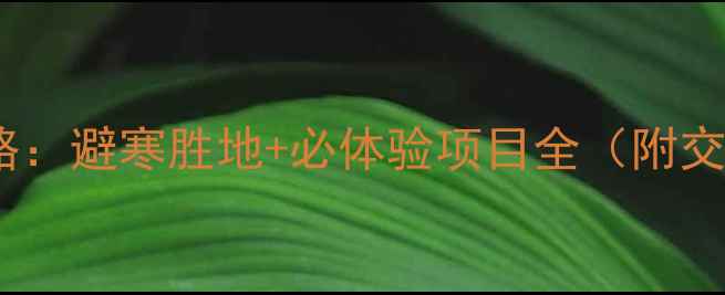 图片 贵州一月份旅游攻略：避寒胜地+必体验项目全（附交通住宿美食指南）1