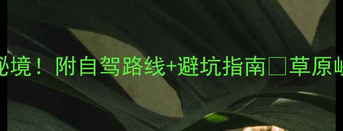 图片 赫章必去5大秘境！附自驾路线+避坑指南🌄草原峡谷全攻略📸1