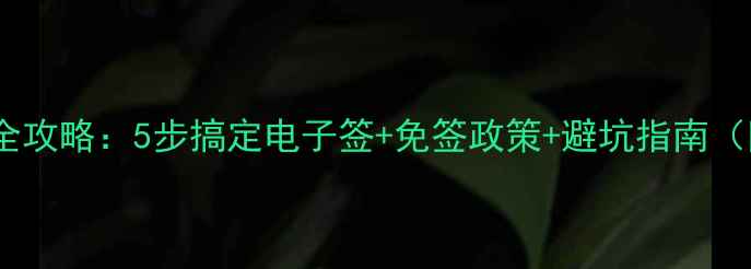 图片 迪拜旅游签证办理全攻略：5步搞定电子签+免签政策+避坑指南（附最新费用清单）2