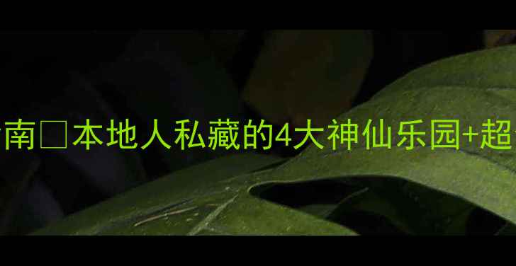 图片 重庆水上乐园避暑指南🌊本地人私藏的4大神仙乐园+超全攻略！暑假必看！