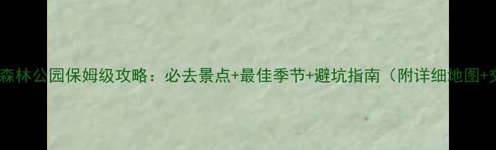 图片 钱江源国家森林公园保姆级攻略：必去景点+最佳季节+避坑指南（附详细地图+交通攻略）2