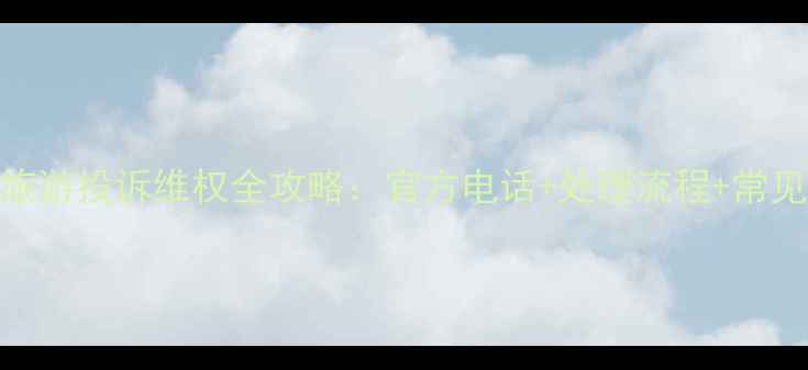 图片 长沙旅游投诉维权全攻略：官方电话+处理流程+常见问题